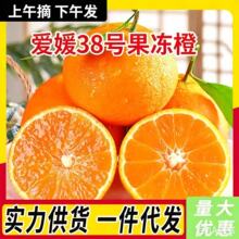 四川爱媛38果冻橙一件代发果冻橙子大果新鲜应季酸甜橙子时令水果