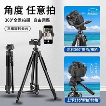 2025���¿�ȫ��̼������_���m��춆η�΢���֙Cֱ�����ⷀ���Ĕz