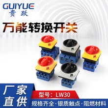 �Դ�D�Q�_�P�M���_�P LW30�f���D�Q�_�P �Դ�ГQ늄әC�����_�P