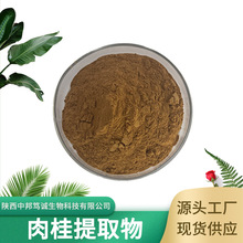 肉桂提取物 肉桂粉 肉桂多酚 水溶肉桂粉 喷干粉  现货供应