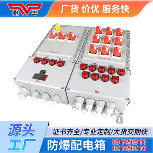 Explosion-proof distribution box maintenance junction box instrument positive pressure cabinet button control switch terminal box socket box customization