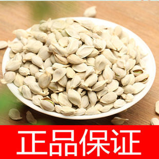 ��ș�� �ٺ� �ۺ� �ۺ��� ������ �ٺ˿���Ʒ���]