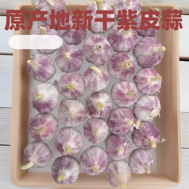 金乡紫皮大蒜头新干蒜大新鲜大蒜整箱紫皮蒜太空蒜种紫红蒜