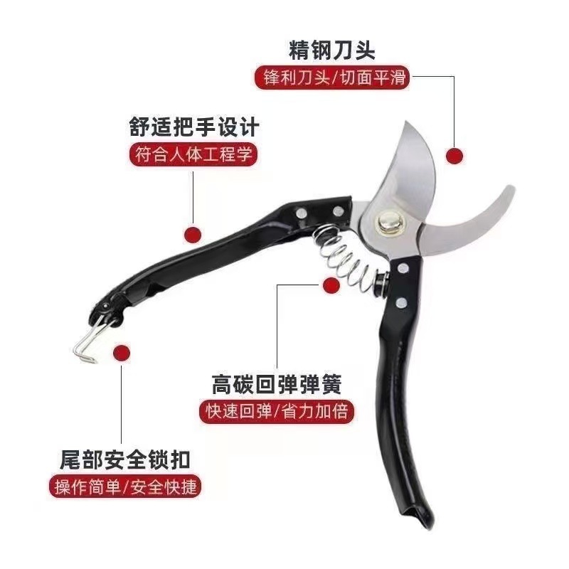 微信图片_202509181038364.jpg