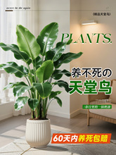 BGֲ҃kҿ͏dֲԸ߼ش̖B滨