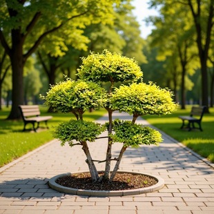 ���N���͘� ���~���� �Ƭ���ӽ��~�� �S�~�ܘ���������a��