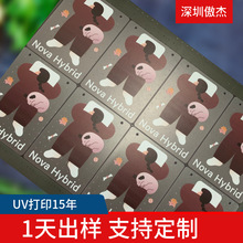 磨砂PETG胶片印刷塑料卷材PVC透明片异形卡UV加工光油