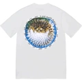 N820 white