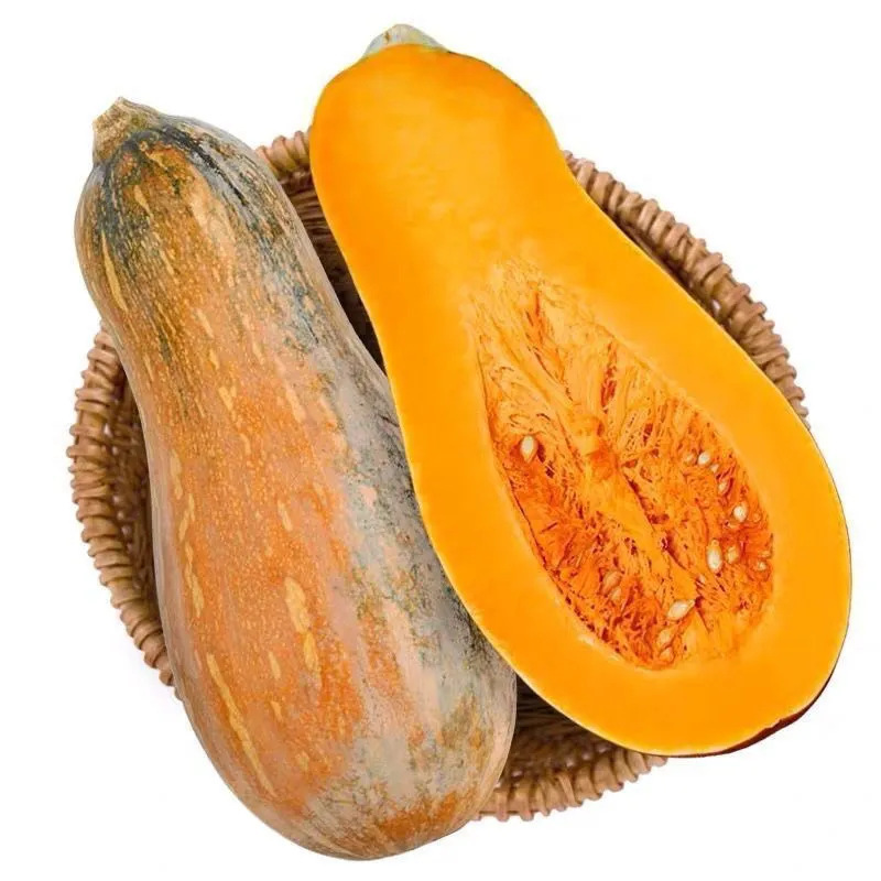 Yunnan Old Pumpkin Direct Delivery from the Place of Origin, Free Shipping for Seasonal Vegetables, Old Pumpkin Drop Shipping Yunnan Old Pumpkin Direct Delivery from the Place of Origin, Free Shipping for Seasonal Vegetables, Old Pumpkin Drop Shipping
