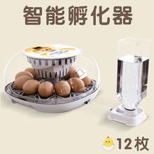 WONEGG新品12枚家用小鸡孵化养殖设备孵化器鸡蛋孵蛋器鹌鹑孵化机