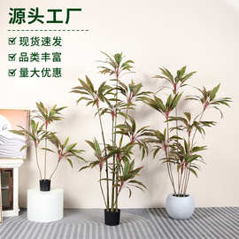 北欧风仿真绿植高级感红色天鹅绒盆栽高端轻奢室内造景装饰摆件