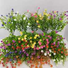 �������m�����Ͻ��X���ȼ����~�� ����軨 ֲ��@ˇ��Ʒ�b�