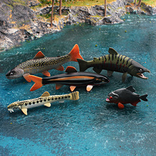 仿真實心pvc海洋動物中華花鰍雨點紅點鮭大馬哈魚雅羅魚模型玩具