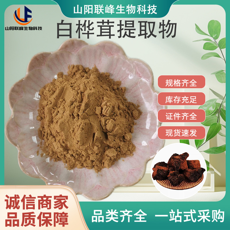 SC厂家白桦茸提取物10:1 桦树茸提取物白桦茸多糖 食品级原料粉末