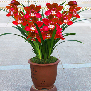 �m�������ԝ����ͺ��B�����m�����m���ܾGֲ���ļ��_���ش�͏d