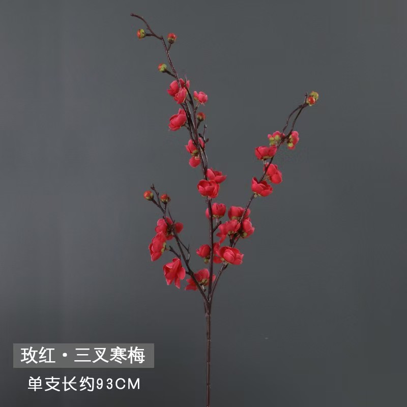 작은 세 갈래 매화 장미 빨간색