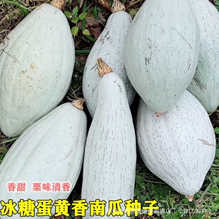 ���ǵ��S���ϹϷN�Ӹ��������F���ϸ������ϹϷN�Ӗ|����z��
