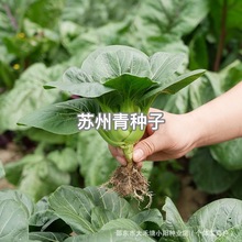 KNͲ˷NļϷϺ~СѷN߲ݲ