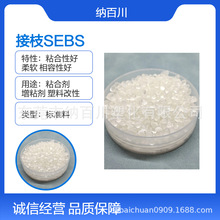 SEBSLs9901R֦ϸ z𤄩ܷ℩܏w