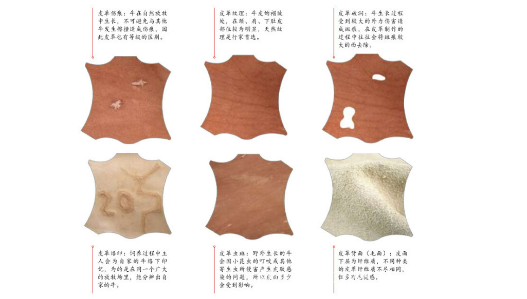 微信图片_20220421131250