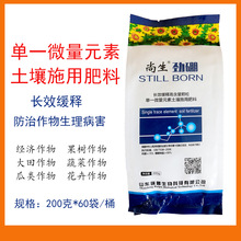 �������� ��һ΢��Ԫ������ʩ����� ������ﾏ���