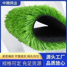 �S��ֱ���׃��@����������ƺ���̇����ٲ�Ƥ�˹���̺�ݷ����ƺ