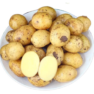 ���r��ʩС�����F�ں������r�S�����������߲��R�������һ�����l