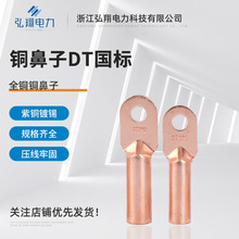 ~DT10-16-25-35-95-240ӷǘ~|Ӿ