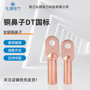 �����~����DT10-16-25-35-95-240�����ӷǘ����~��|�Ӿ�����