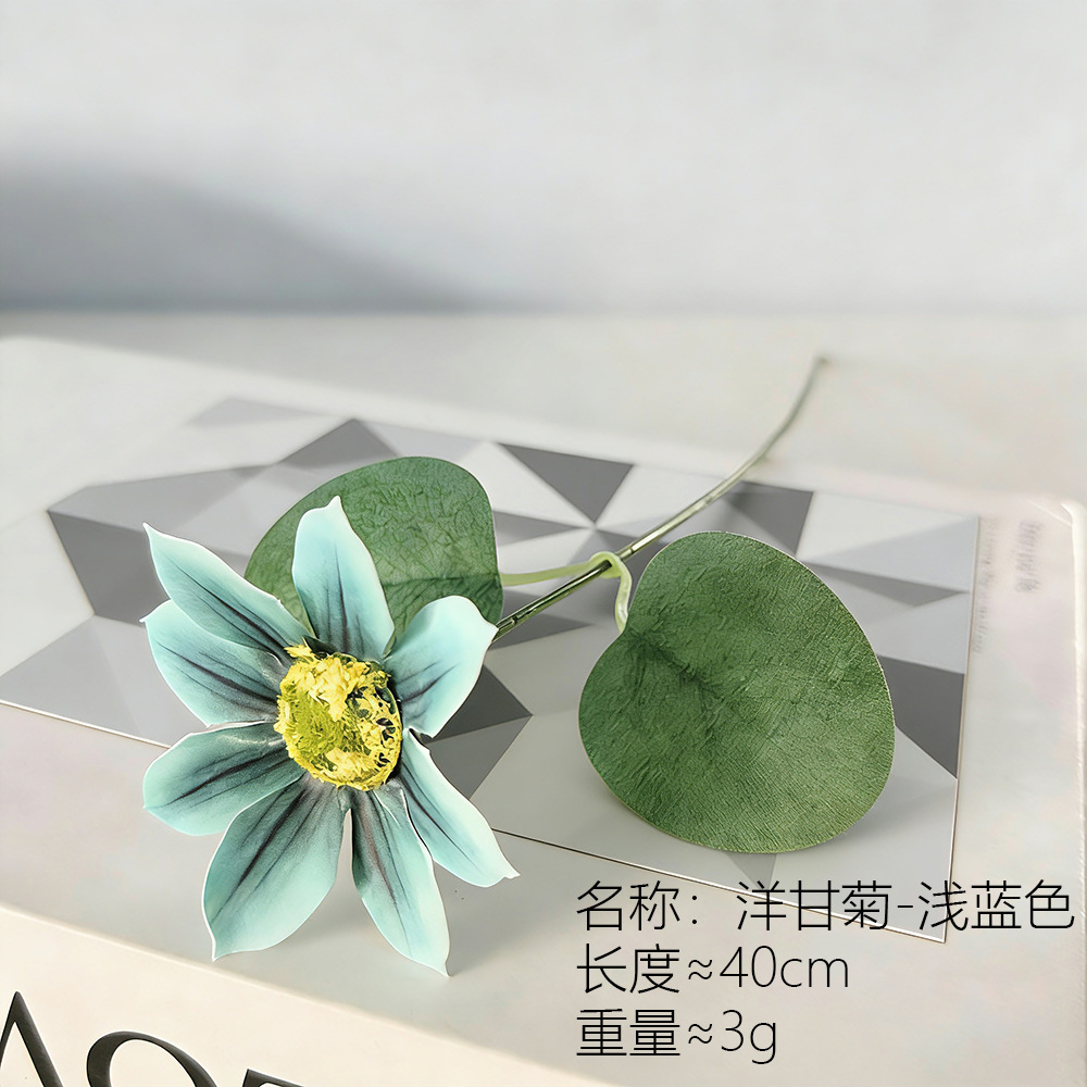 Chamomile azul claro