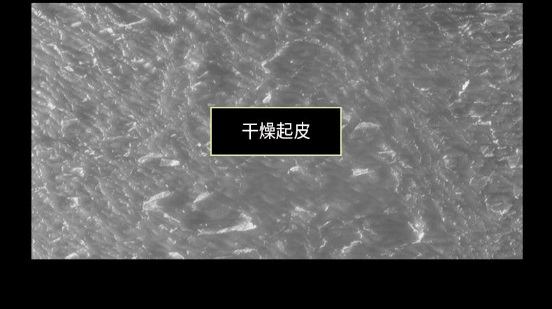 潔芙泉男士套裝詳情_04