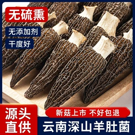 其他干货;蘑菇;羊肚菌