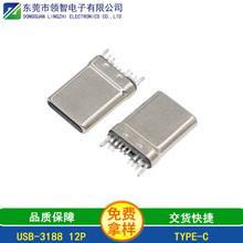TYPE-C12P����A��0.8���^USB3.1 12pǰ�ߺ���A��0.8���칫�^