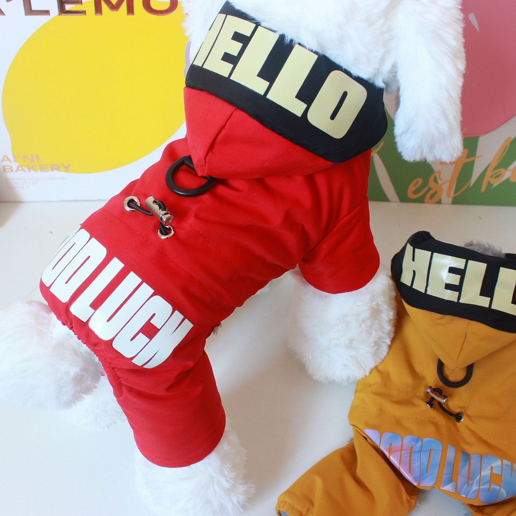 狗狗衣服秋冬新款服装泰迪宠物衣服冬季加厚四脚哈喽印花四腿棉衣