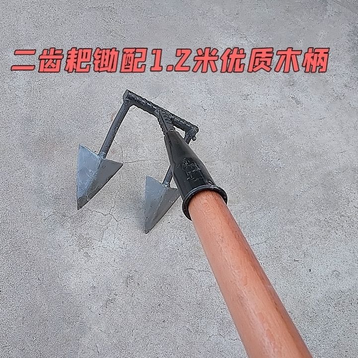 1.2m 고품질 목재 손잡이가 있는 2톱니 갈퀴 이