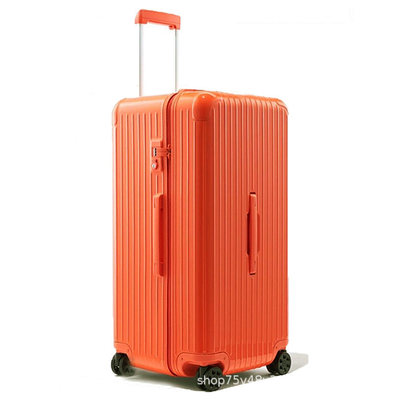 밝은 산호 오렌지