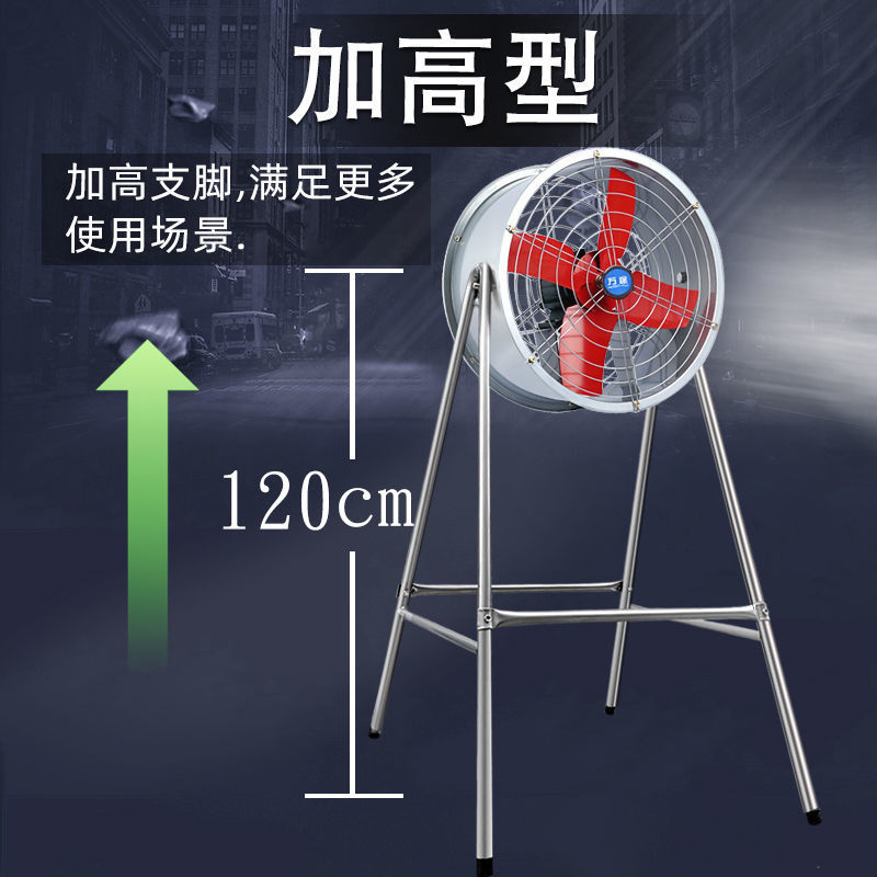 2d3f4be2-d0bb-4dae-89e4-fa4fe53538bc.jpe