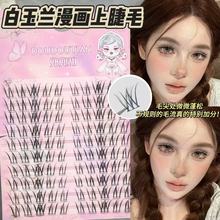 ����������m�����Ͻ�ë��Ҏ�t�՚�зֶμٽ�ëD�Nб�w���۽�ë