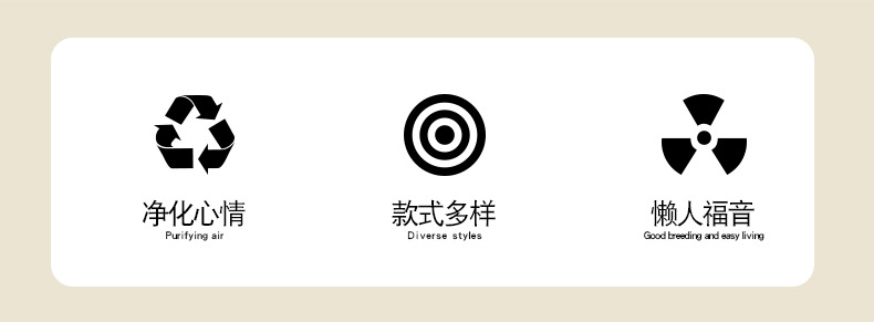 9头尖头郁金香_02