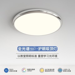 Modern Minimalist Full Spectrum Eye-Care Ceiling Lamp Cream Style Living Room Lamp Room Balcony Lamp Study Bedroom Ceiling Lamp