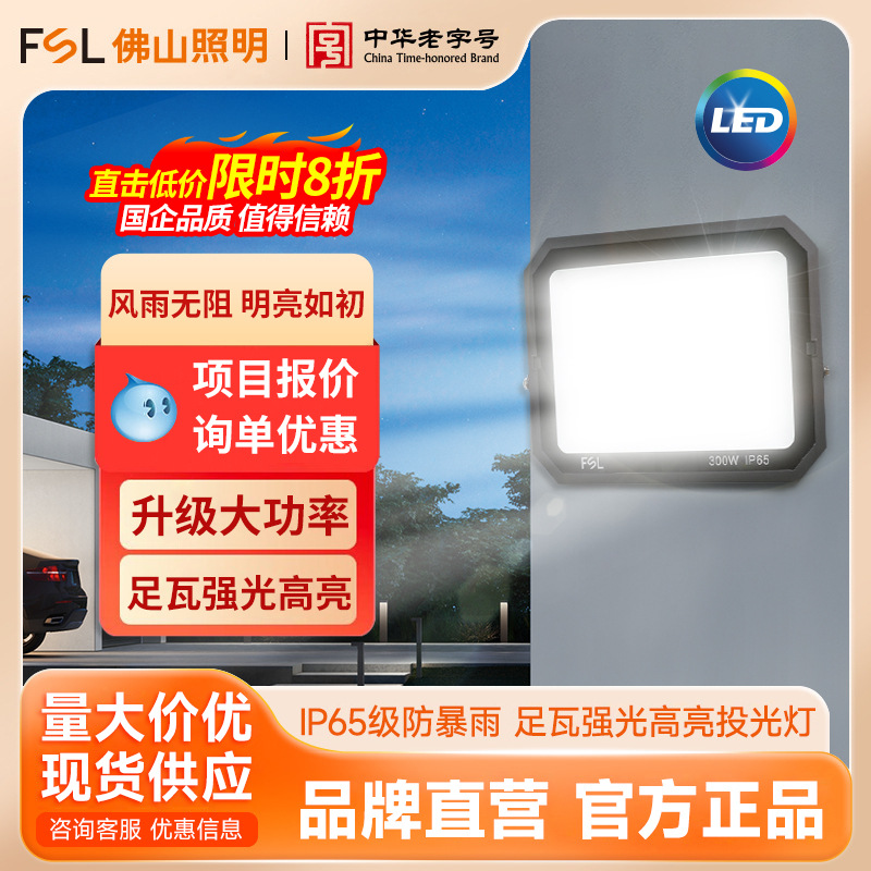 FSL Foshan iluminación LED proyector IP65 impermeable super brillante luz brillante publicidad luz de jardín exterior lámpara de fábrica de iluminación