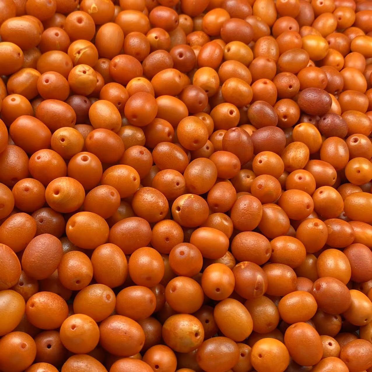 微信图片_20240425234236