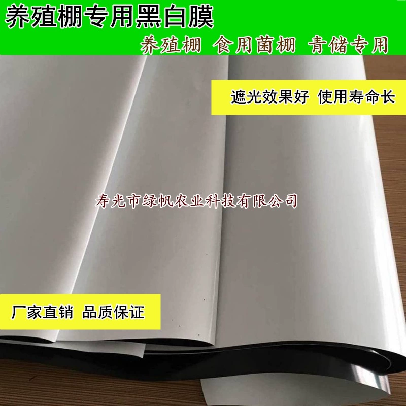 [Прямая Продажа с фабрики] селекционный сарай грибной сарай съедобный грибной сарай, посвященный долгой жизни тени черно-белой пленки