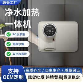 净水器家用直饮RO反渗透过滤纯水机语音播报加热一体机净水机批发