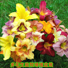 ���滨���ļ��_��������ͥԺ�̨�����ͺ��޸����ܽ�����