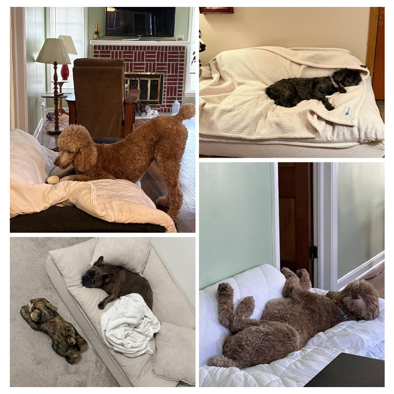 Sofá cama para perros de compresión de vacío para perros de tamaño pequeño y medio para perros de cuatro estaciones
