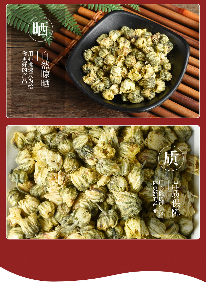 Tai Ju Buds (Chrysanthemum morifolium) — Hangzhou Pre-Bloom Chrysanthemum Flower Tea, 500g quality and texture
