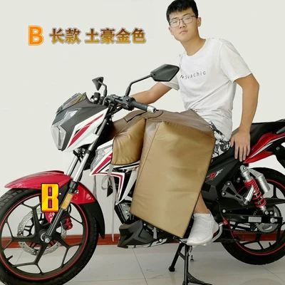Motorcycle front windshield, Extended Chest Protector, Leg Protector - b-long-local-gold-windshield-quilt