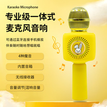 新品儿童话筒带音响X9 家用K歌无线蓝牙小麦克风手机宝宝唱歌玩具