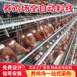 厂家生产养鸡设备 养鸡阶梯笼料线 自动喂料线 全自动上料设备